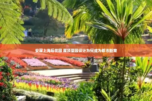 安居上海后花园 屋顶菜园设计为何成为都市新宠