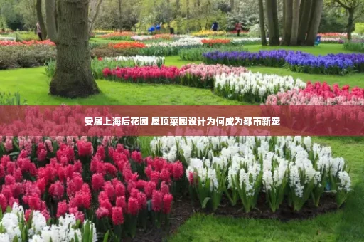 安居上海后花园 屋顶菜园设计为何成为都市新宠