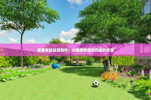 紫藤老桩盆景制作：从粗根到惊艳四座的蜕变