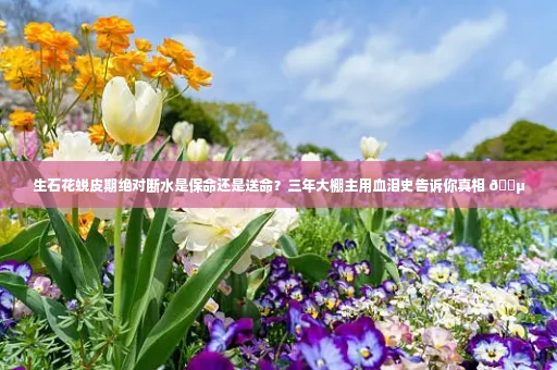 生石花蜕皮期绝对断水是保命还是送命?三年大棚主用血泪史告诉你真相 🌵