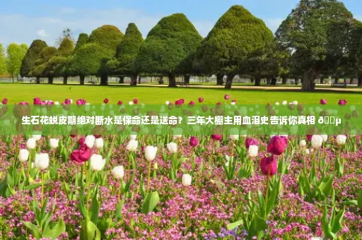 生石花蜕皮期绝对断水是保命还是送命？三年大棚主用血泪史告诉你真相 🌵