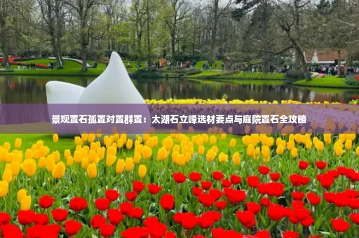 景观置石孤置对置群置：太湖石立峰选材要点与庭院置石全攻略