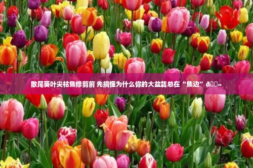 散尾葵叶尖枯焦修剪前 先搞懂为什么你的大盆栽总在“焦边”😫