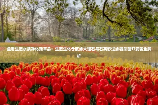 鱼池生态水质净化新革命:生态生化仓底滤大理石与石英砂过滤器杀菌灯安装全解析