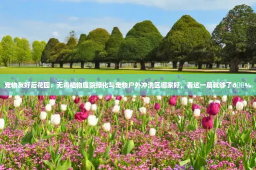 宠物友好后花园:无毒植物庭院绿化与宠物户外冲洗区哪家好,看这一篇就够了🐾