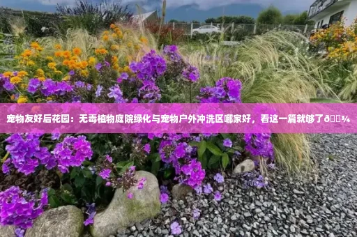 宠物友好后花园:无毒植物庭院绿化与宠物户外冲洗区哪家好,看这一篇就够了🐾