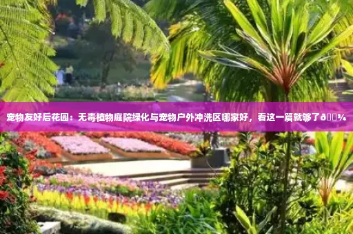 宠物友好后花园：无毒植物庭院绿化与宠物户外冲洗区哪家好，看这一篇就够了🐾