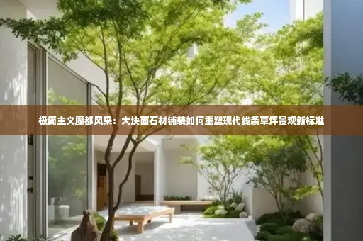 极简主义魔都风采:大块面石材铺装如何重塑现代线条草坪景观新标准