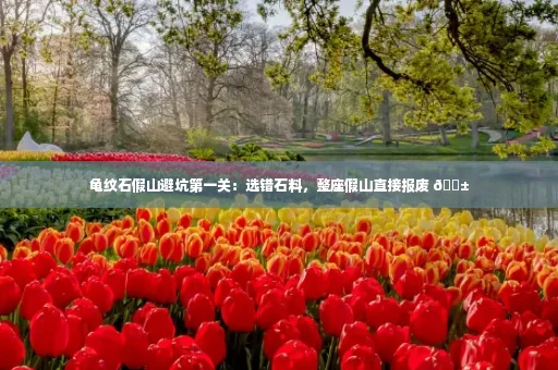 龟纹石假山避坑第一关：选错石料，整座假山直接报废 😱