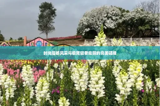 时尚魔都风采与极简轻奢庭院的完美碰撞