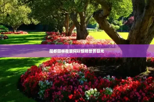 魔都园林夜景何以惊艳世界目光
