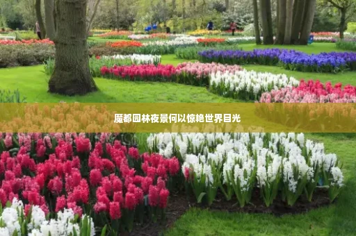 魔都园林夜景何以惊艳世界目光