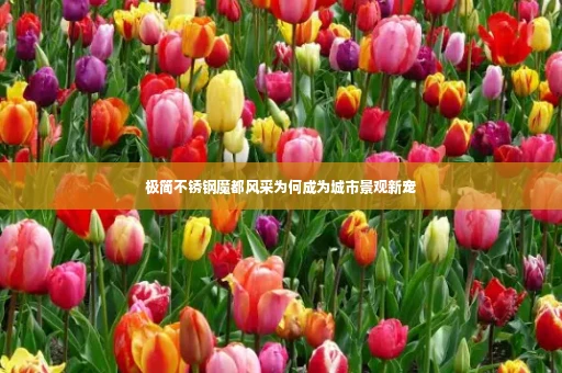 极简不锈钢魔都风采为何成为城市景观新宠