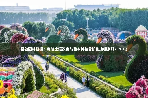 基础园林初探：庭院土壤改良与苗木种植养护到底哪家好？🌿