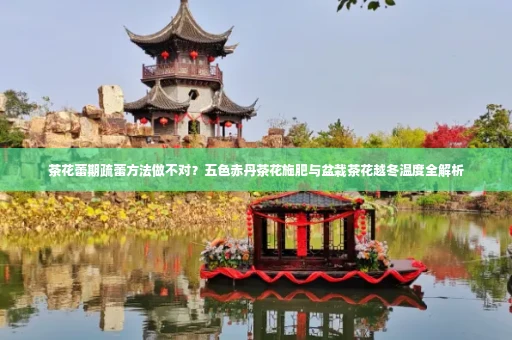 茶花蕾期疏蕾方法做不对?五色赤丹茶花施肥与盆栽茶花越冬温度全解析