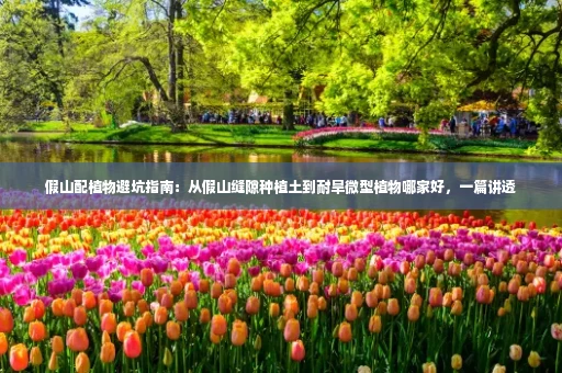 假山配植物避坑指南:从假山缝隙种植土到耐旱微型植物哪家好,一篇讲透