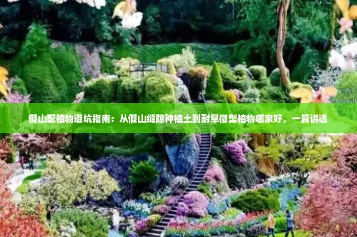 假山配植物避坑指南:从假山缝隙种植土到耐旱微型植物哪家好,一篇讲透
