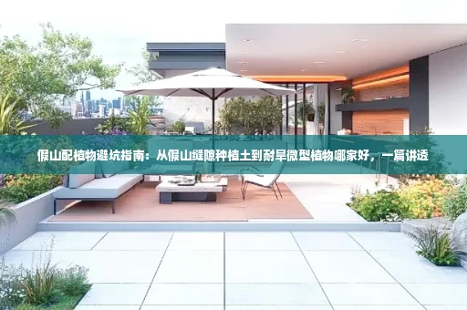假山配植物避坑指南:从假山缝隙种植土到耐旱微型植物哪家好,一篇讲透
