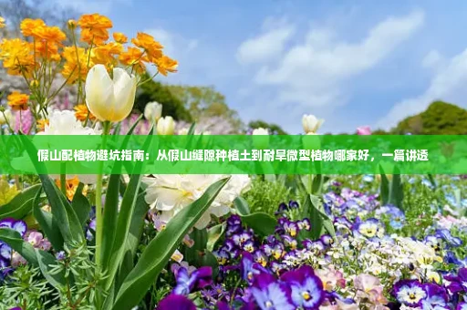假山配植物避坑指南：从假山缝隙种植土到耐旱微型植物哪家好，一篇讲透