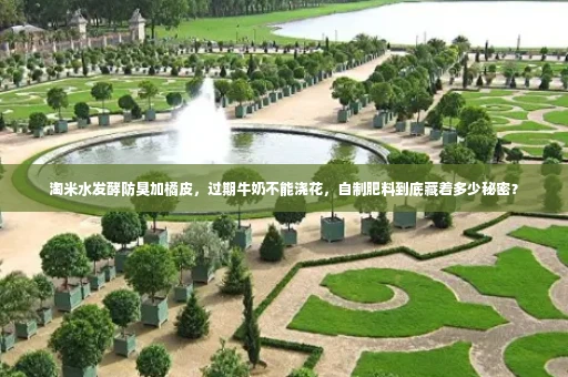 淘米水发酵防臭加橘皮,过期牛奶不能浇花,自制肥料到底藏着多少秘密?