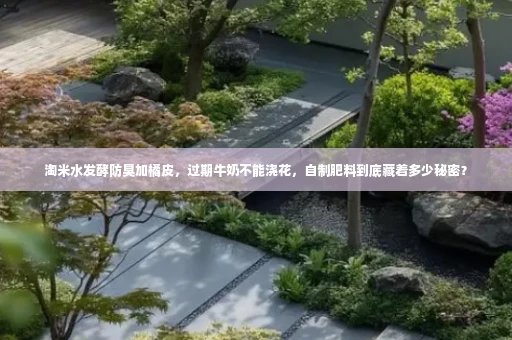 淘米水发酵防臭加橘皮，过期牛奶不能浇花，自制肥料到底藏着多少秘密？