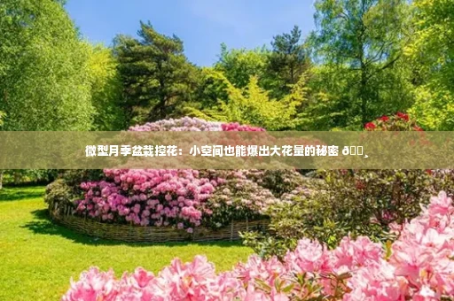 微型月季盆栽控花：小空间也能爆出大花量的秘密 🌸