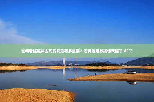 雀梅老桩桩头去死皮究竟有多重要？看完这组数据你就懂了 🌳