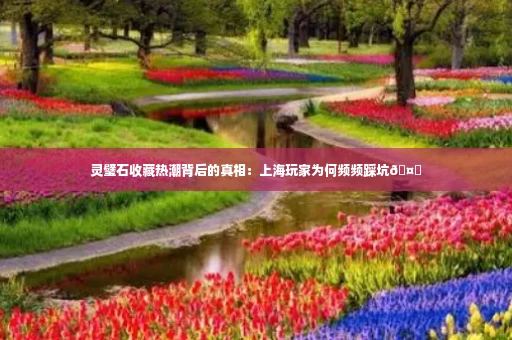 灵璧石收藏热潮背后的真相：上海玩家为何频频踩坑🤔