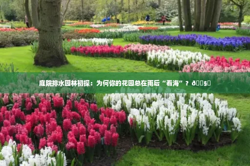 庭院排水园林初探:为何你的花园总在雨后“看海”?🌧️