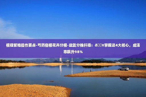 根插繁殖操作要点-芍药宿根花卉分根-盆栽分株扦插：🔥掌握这4大核心，成活率飙升98%